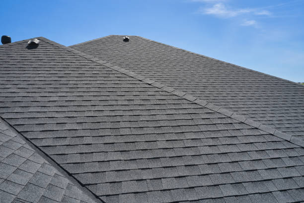 Best Roof Ventilation Installation  in Trevorton, PA