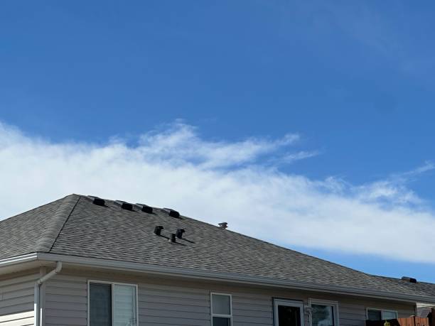 Best Metal Roofing Installation  in Trevorton, PA